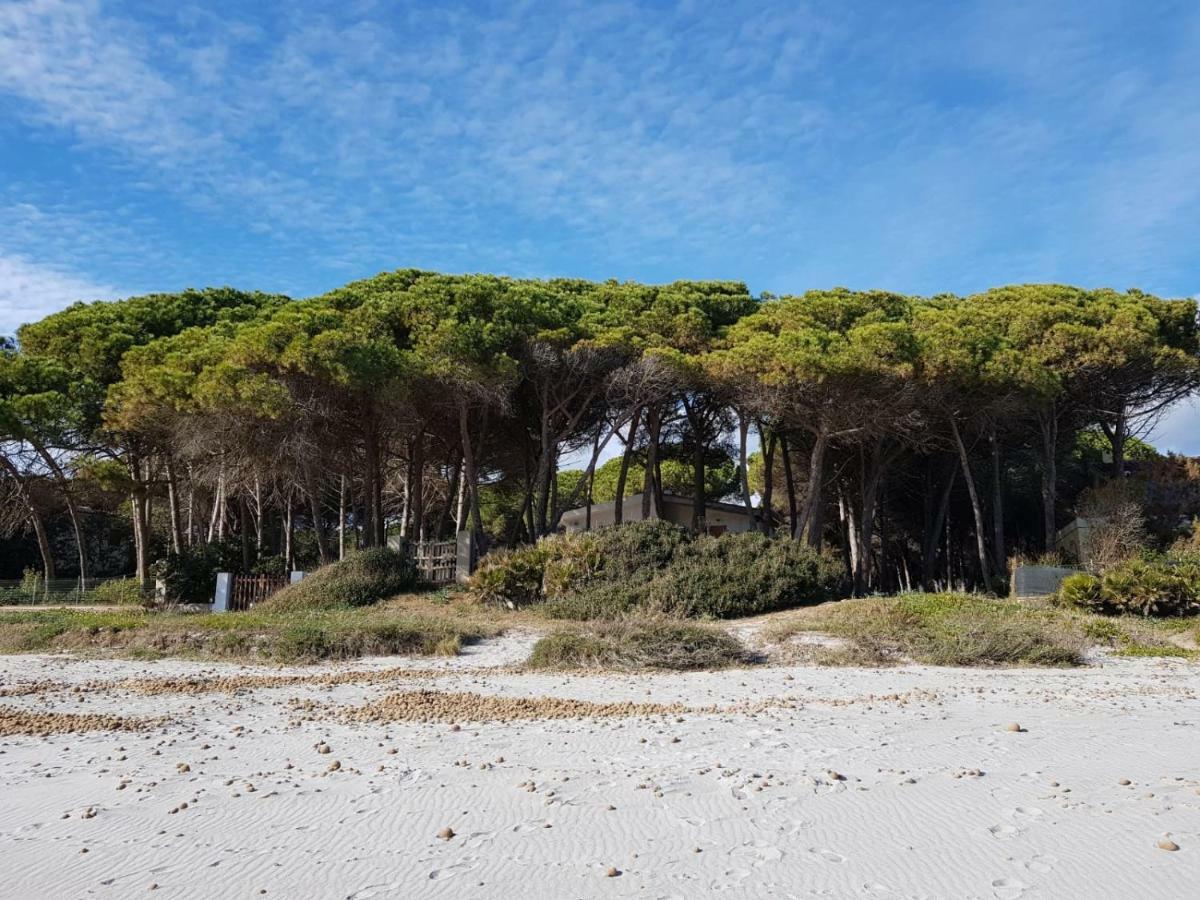 Mimosa Bilocale Cala Liberotto Eksteriør billede