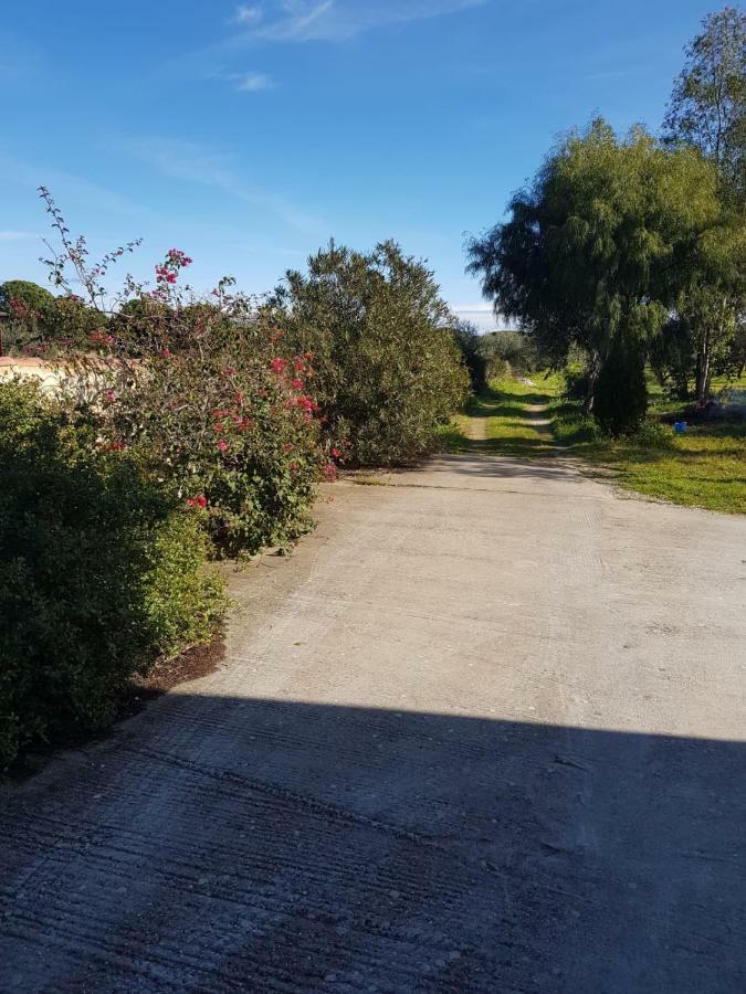 Mimosa Bilocale Cala Liberotto Eksteriør billede