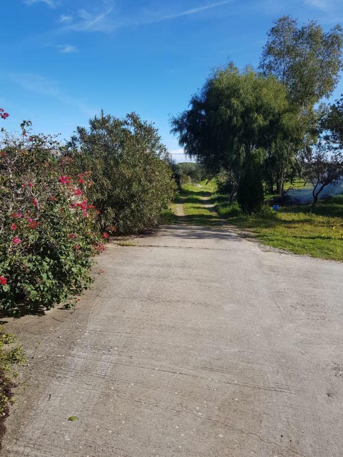 Mimosa Bilocale Cala Liberotto Eksteriør billede